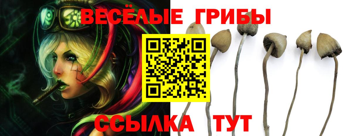 Вышний Волочёк  Псилоцибиновые грибы мицелий  дарнет шоп  Вход с VPN 